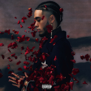 久久最新地址获取
